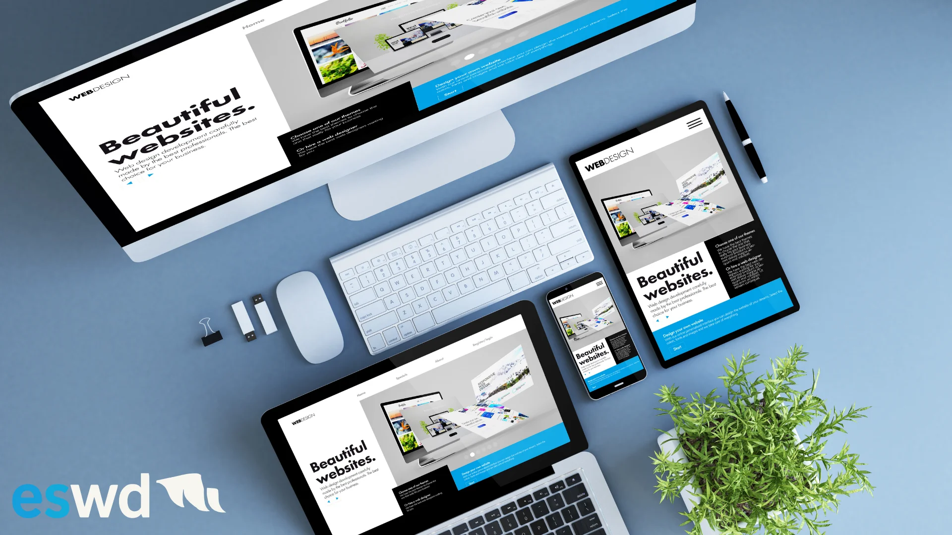 East Sussex Web Design – bespoke websites for businesses across the South East